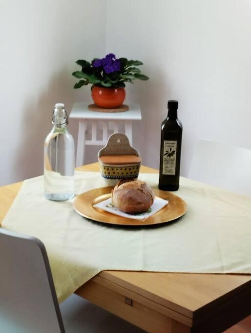 Apartma Oljka Pomjan Šmarje エクステリア 写真