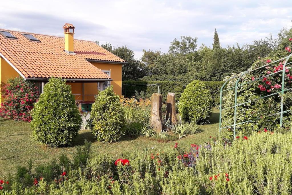 Apartma Oljka Pomjan Šmarje エクステリア 写真