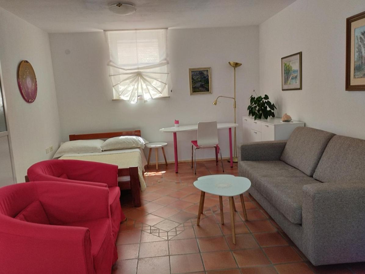 Apartma Oljka Pomjan Šmarje エクステリア 写真